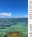The sea of Okinawa 105113510
