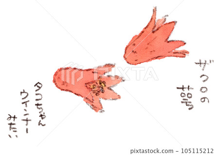 Watercolor illustration of pomegranate (pomegranate) flower calyx like octopus wiener fallen on the roadside, plant from May to June Watercolor illustration of pomegranate (pomegranate) flower calyx like octopus wiener fallen on the roadside, plant from May to June 105115212
