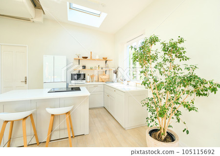 Dining kitchen counter kitchen 105115692