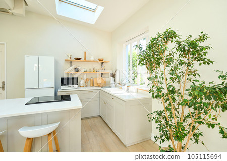Dining kitchen counter kitchen 105115694