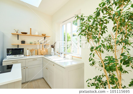 Dining kitchen counter kitchen 105115695