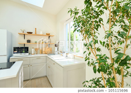 Dining kitchen counter kitchen Dining kitchen counter kitchen 105115696