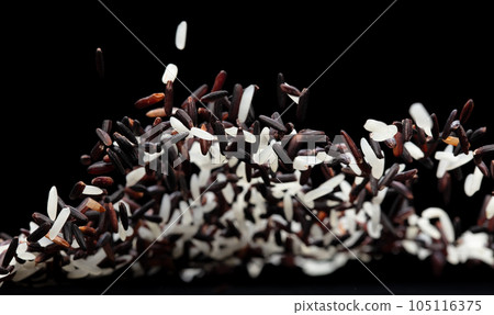 Japanese Riceberry flying explosion, white grain rices berry fall abstract fly. Beautiful complete seed jasmine riceberry splash in air, food object. Black background isolated selective focus blur 105116375