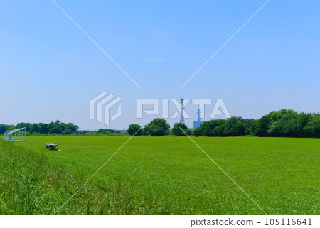 Edogawa Riverside Ground, Matsudo City, Chiba PrefectureJuly 2023 Edogawa Riverside Ground, Matsudo City, Chiba PrefectureJuly 2023 105116641