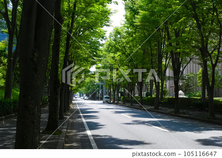 Shin-Matsudo Keyaki Street, Matsudo City, Chiba Prefecture July 2023 Shin-Matsudo Keyaki Street, Matsudo City, Chiba Prefecture July 2023 105116647