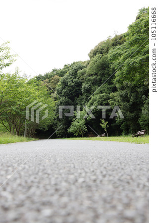 道路和景觀 105116668