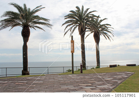 Horikiri Pass Nichinan Kaigan Quasi-National Park Horikiri Pass Nichinan Kaigan Quasi-National Park 105117901