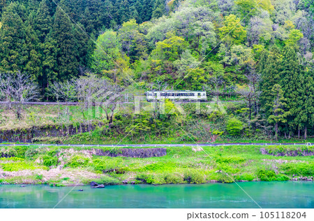 穿過新綠的飯山線列車(上坂井~戸裡野澤溫泉) 穿過新綠的飯山線列車(上坂井~戸裡野澤溫泉) 105118204