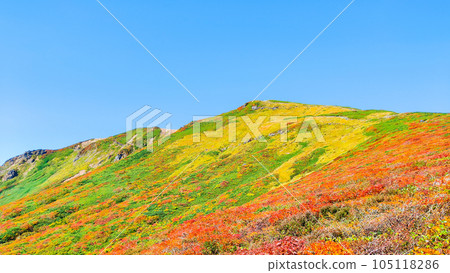 Mt. Kurikoma mountain climbing in autumn (the summit seen from the central course) 105118286