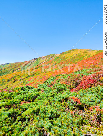 Mt. Kurikoma mountain climbing in autumn (the summit seen from the central course) 105118301
