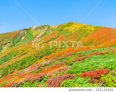 Mt. Kurikoma mountain climbing in autumn (the summit seen from the central course) 105118302