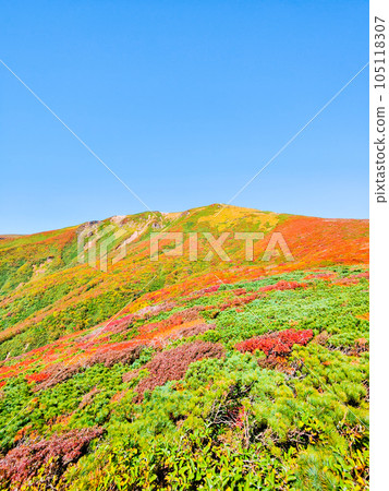 Mt. Kurikoma mountain climbing in autumn (the summit seen from the central course) 105118307