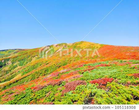 Mt. Kurikoma mountain climbing in autumn (the summit seen from the central course) 105118308