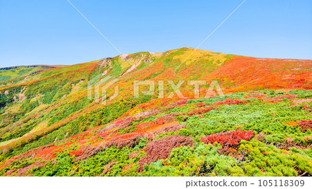 Mt. Kurikoma mountain climbing in autumn (the summit seen from the central course) Mt. Kurikoma mountain climbing in autumn (the summit seen from the central course) 105118309