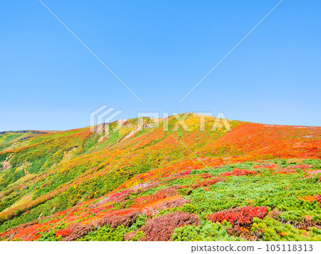 Mt. Kurikoma mountain climbing in autumn (the summit seen from the central course) 105118313