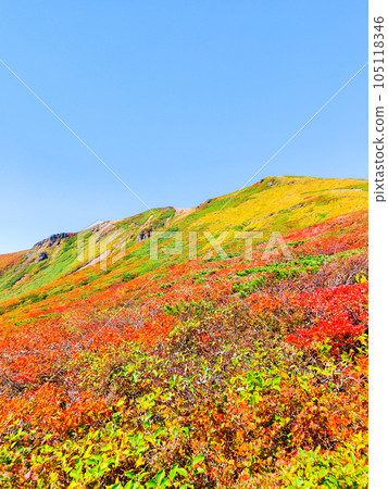 Mt. Kurikoma mountain climbing in autumn (the summit seen from the central course) 105118346