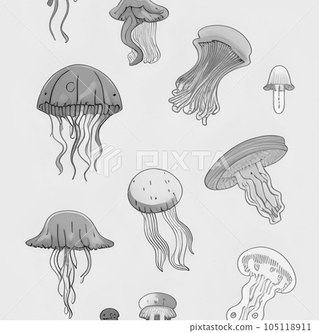 different kinds of jellyfish 105118911