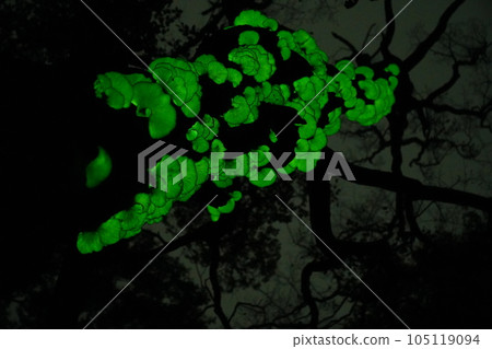 八甲田的月夜竹2 105119094