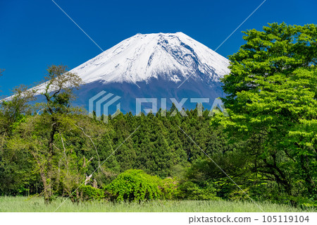 《靜岡縣》眺望富士山的朝霧高原 105119104