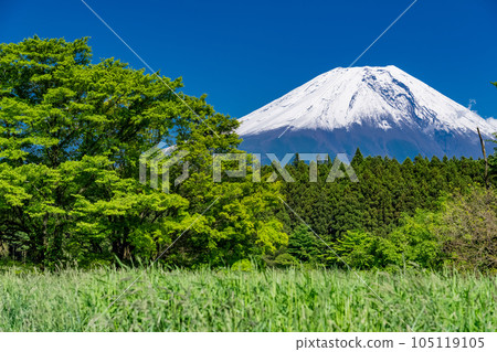 《靜岡縣》眺望富士山的朝霧高原 《靜岡縣》眺望富士山的朝霧高原 105119105