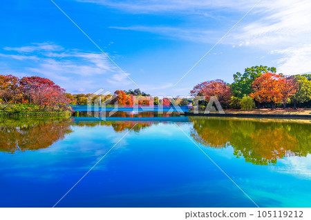 Autumn leaves of Nagai Botanical Garden 105119212