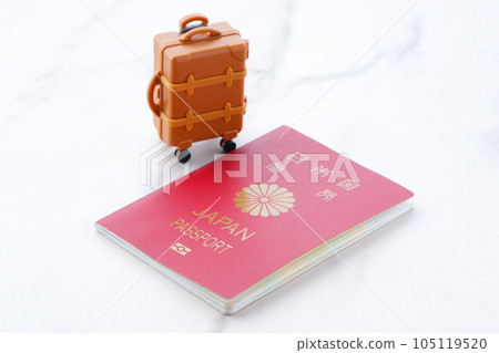 Japanese passport (general passport 10 years red color) and travel bag Japanese passport (general passport 10 years red color) and travel bag 105119520