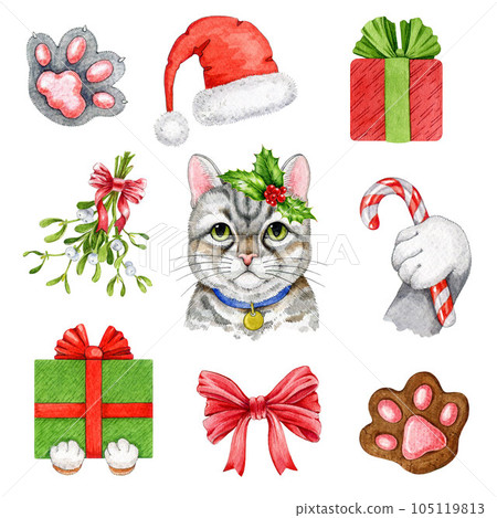 Cute funny cat with winter festive elements set. Watercolor illustration. Hand painted cute kitty, present, gift, mistletoe, Santa hat element collection. Winter festive decorations. White background 105119813