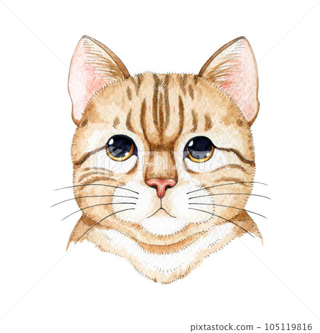 Red tabby cat portrait watercolor illustration. Hand painted cartoon style funny kitty face. Cute red striped kitty portrait element. Isolated on white background 105119816