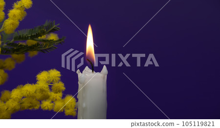 Burning candle and mimosa flowers over dark blue 105119821