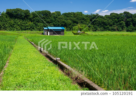 Rural scenery of Hayama Island Kanagawa's rural scenery The original scenery Rural scenery of Hayama Island Kanagawa's rural scenery The original scenery 105120191