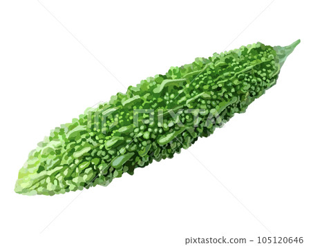 苦瓜 苦瓜 105120646