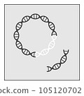 plasmid 105120702