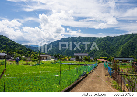 青根村鄉村道路的原始風景 105120796