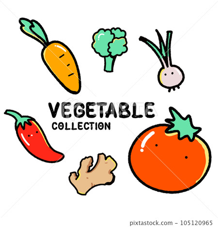 set of vegetables vector set of vegetables vector 105120965