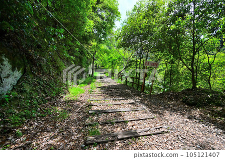 初夏的舊福知山線 利用停運線路的徒步旅行路線 峽谷和隧道 105121407