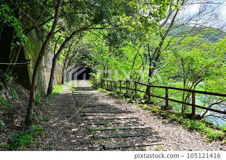 Former Fukuchiyama Line in early summer Hiking course using the discontinued line Gorge and tunnels Former Fukuchiyama Line in early summer Hiking course using the discontinued line Gorge and tunnels 105121416