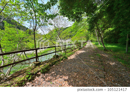 初夏的舊福知山線 利用停運線路的徒步旅行路線 峽谷和隧道 105121417