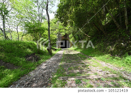 初夏的舊福知山線 利用停運線路的徒步旅行路線 峽谷和隧道 105121419