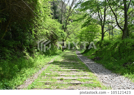Former Fukuchiyama Line in early summer Hiking course using the discontinued line Gorge and tunnels Former Fukuchiyama Line in early summer Hiking course using the discontinued line Gorge and tunnels 105121423