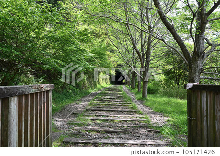 初夏的舊福知山線 利用停運線路的徒步旅行路線 峽谷和隧道 初夏的舊福知山線 利用停運線路的徒步旅行路線 峽谷和隧道 105121426