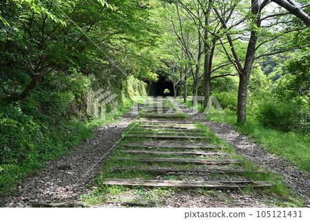 Former Fukuchiyama Line in early summer Hiking course using the discontinued line Gorge and tunnels 105121431