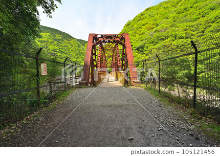初夏的舊福知山線 利用停運線路的徒步旅行路線 峽谷和隧道 初夏的舊福知山線 利用停運線路的徒步旅行路線 峽谷和隧道 105121456