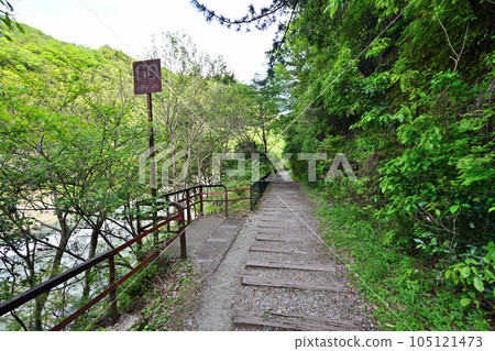 初夏的舊福知山線 利用停運線路的徒步旅行路線 峽谷和隧道 初夏的舊福知山線 利用停運線路的徒步旅行路線 峽谷和隧道 105121473