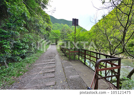 初夏的舊福知山線 利用停運線路的徒步旅行路線 峽谷和隧道 初夏的舊福知山線 利用停運線路的徒步旅行路線 峽谷和隧道 105121475