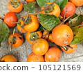 delicious persimmon fruit 105121569