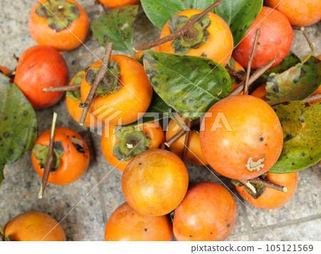 delicious persimmon fruit 105121569