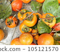 delicious persimmon fruit 105121570