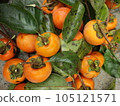 delicious persimmon fruit 105121571