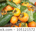 delicious persimmon fruit 105121572