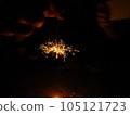 Sparkler of summer tradition 105121723